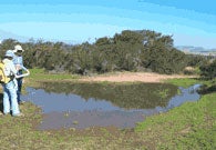 Photo of Workers at Vernal Pool