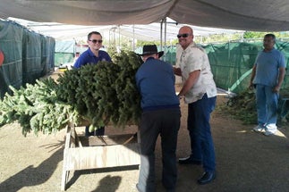 Photo of Councilman Sherman Councilmember Sherman and Staff Volunteering in Allied Gardens