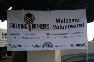 Photo of Saluting Branches; Arborists United for Veteran Remembrance event