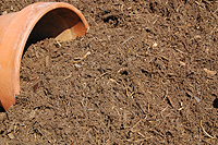 Photo of compost