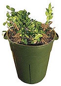 Photo of Refuse Can of Greenery