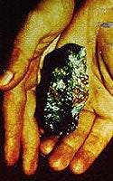 Photo of Hands Holding Lead