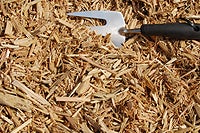 Photo of Plain Wood Chips