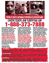 Graphic of Human Trafficking Flyer