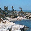 Photo of La Jolla Cove