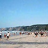 Photo of La Jolla Shores