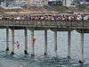 Kids jumping from the bridge