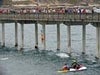 Kids jumping from the bridge