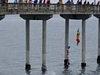 Kids jumping off a pier into the water