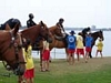 Children petting horses from the Police Department