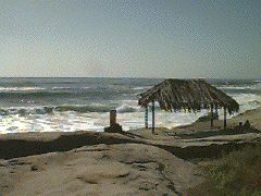 Photo of Windansea Beach