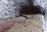Photo of exposed sewer pipe Photo of exposed sewer pipe