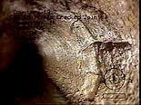 Photo of Deteriorated Sewer Line Photo of Deteriorated Sewer Line