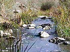 Photo of a River