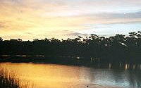 Photo of Chollas Lake Park