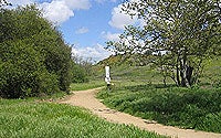 Photo of Marian Bear Park Trail