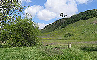 Photo of Marian Bear Park Open Space