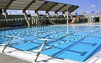 Photo of Ned Baumer Pool Photo of Ned Baumer Pool