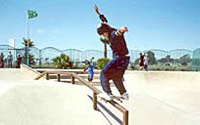 Photo of Skate Park