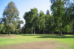Photo of Redwood Circle, 4 of 4