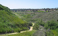 Photo of Rose Canyon Park Trail