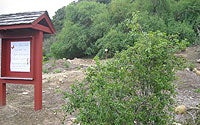 Photo of Tecolote Canyon Natural Park