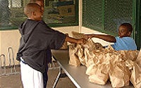 Photo of Young Volunteers