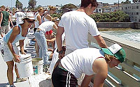Photo of Volunteers Painting a Pier at the Beach