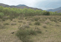 Photo of Open Space Photo of Open Space