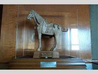 Terra Cotta Horse Image
