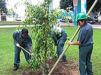 Photo of Urban Corps at work