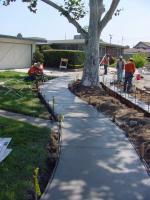 Photo of Solutions to Tree Problems - Don Way and Donald Ave