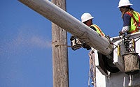 Photo of Pole Removal