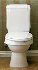 Photo of high efficient toilet
