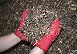 Photo of Mulch