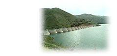 Photo of reservoir shoreline