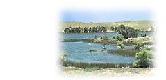 Photo of Upper Otay Reservoir