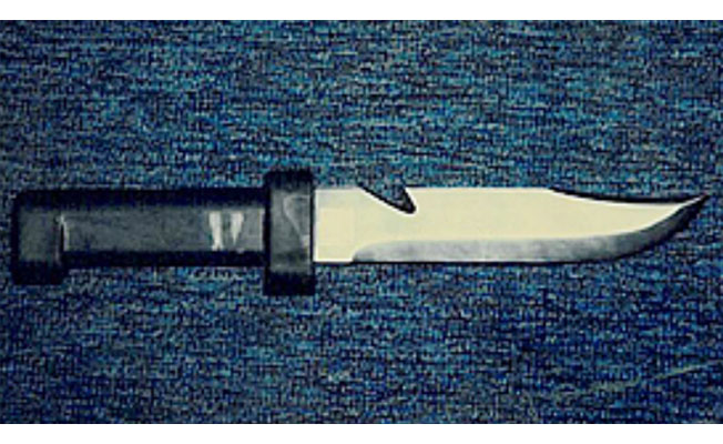 Knife stolen from Marianne Jutta Amaya residence