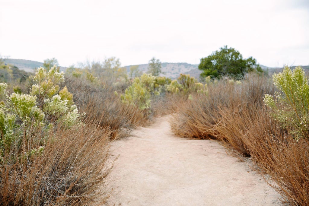 Hiking trail