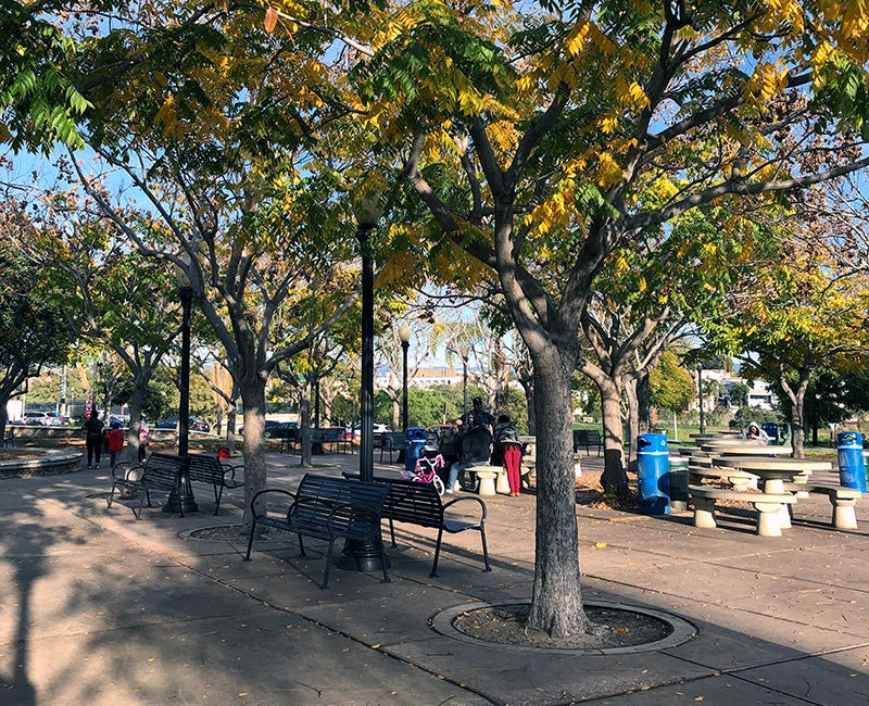 Benches and tables at Ward Canyon Community Park in Normal Heights