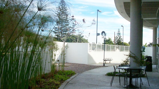 Patio at the Pacific Beach/Taylor Library