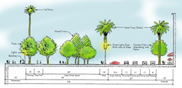 Illustration of streetscape with trees