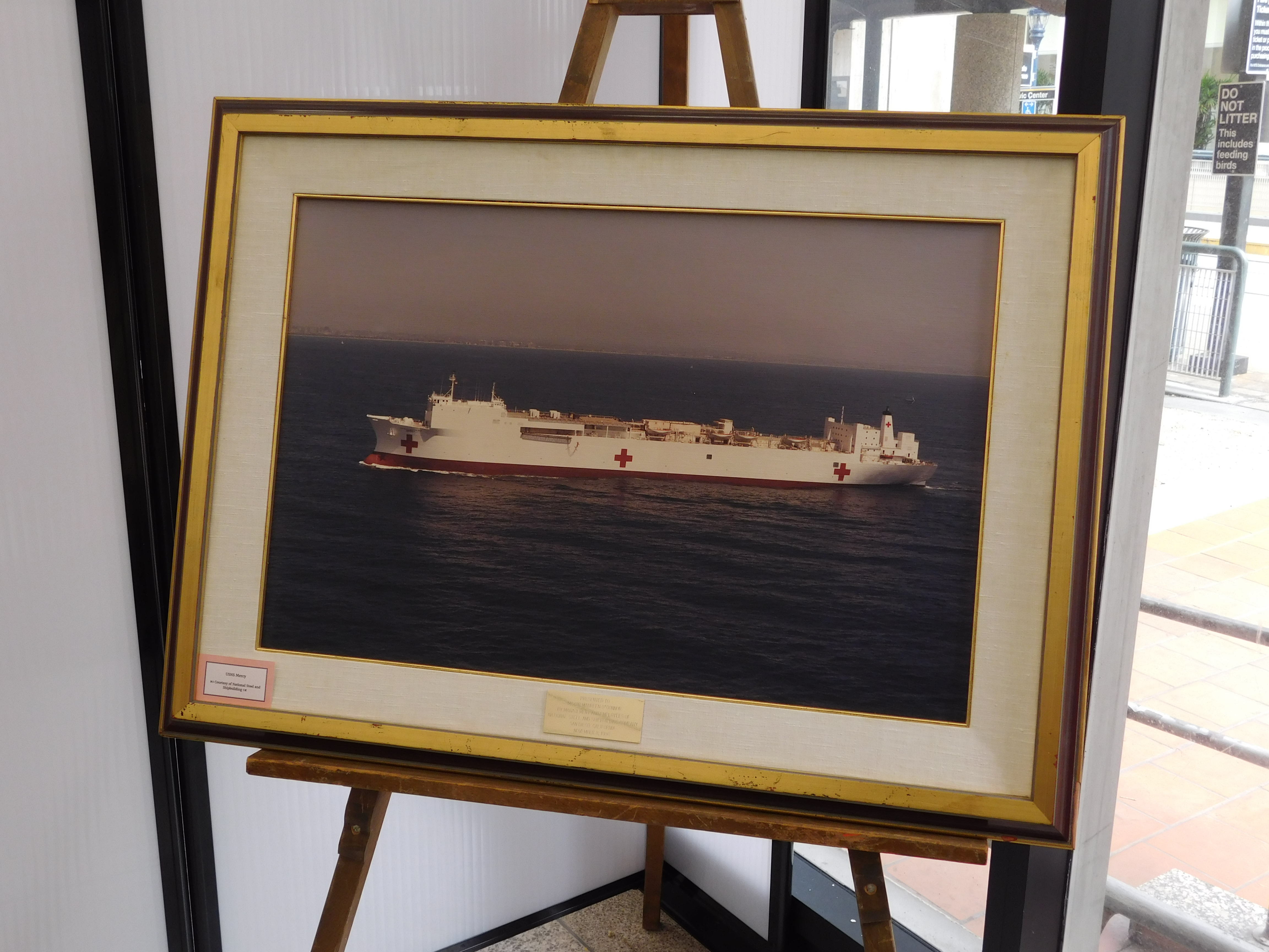 Large framed photograph of the USNS Mercy.