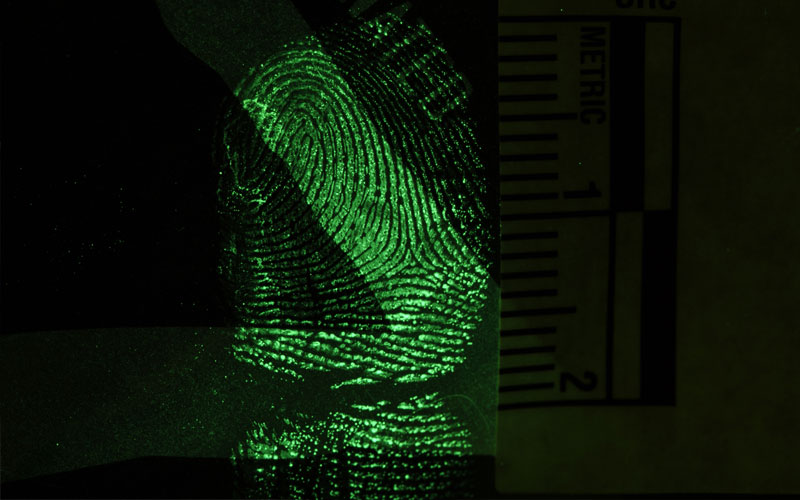 An illuminated fingerprint next to a ruler.