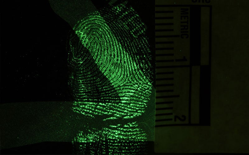 An illuminated fingerprint next to a ruler.