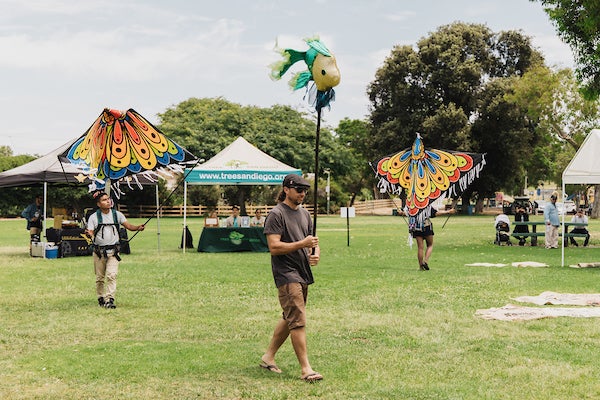Bird-like puppets on display at the park