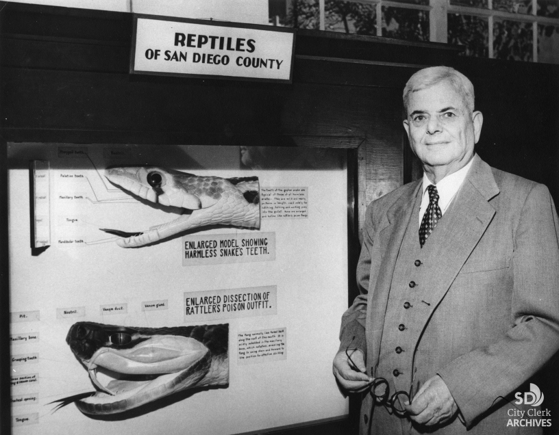 1956 Herpetologist Laurence Monroe Klauber City of San Diego