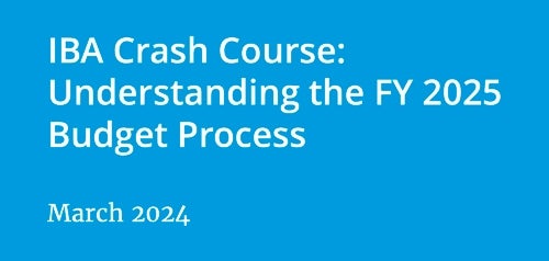 IBA Budget Crash Course