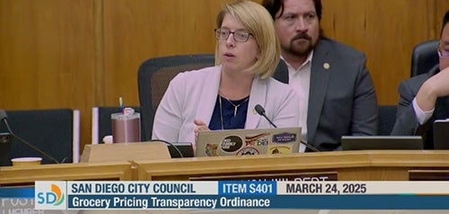 Marni von Wilpert at council meeting