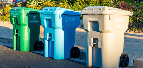 collections bins
